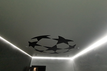 Натяжные потолки с фотопечатью