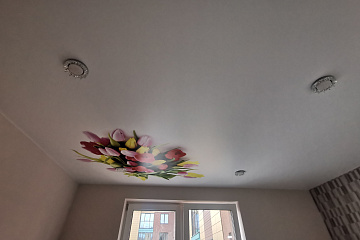 Натяжные потолки с фотопечатью