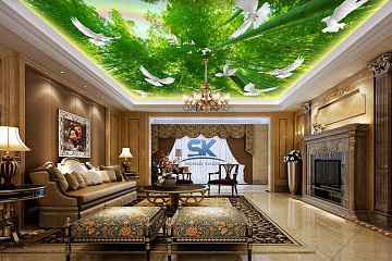 Натяжные потолки 3D технологии